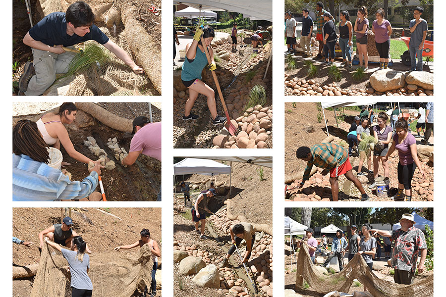 students working on project blue