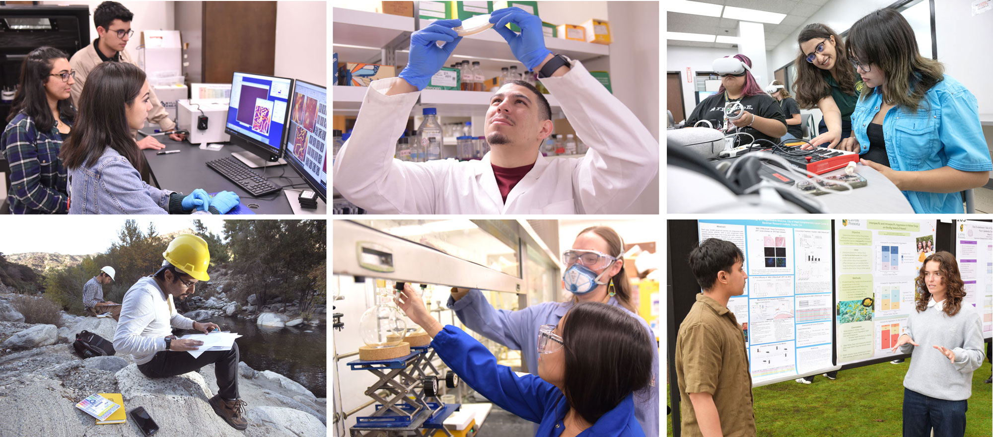 CPP students engaged in research activities