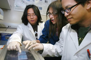 lab students conducting experiments