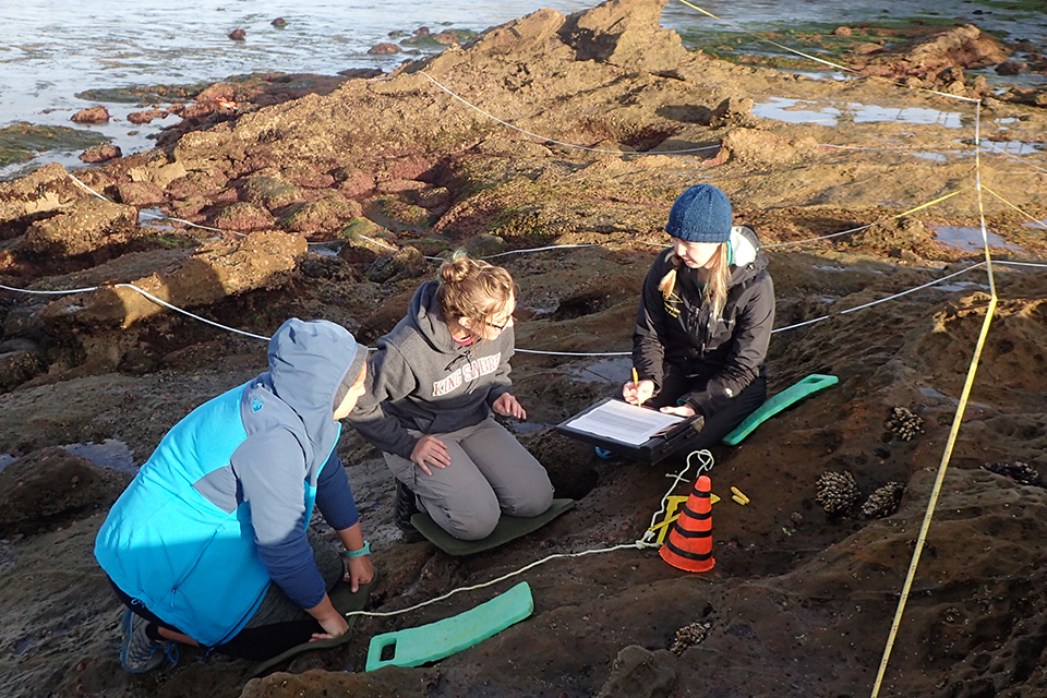 Students in the intertidal