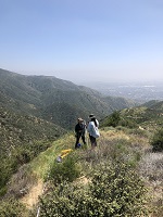  Students monitor vegetation recovery 10 years after a fire in the Angeles National Forest. (credit: Marlee Antill)