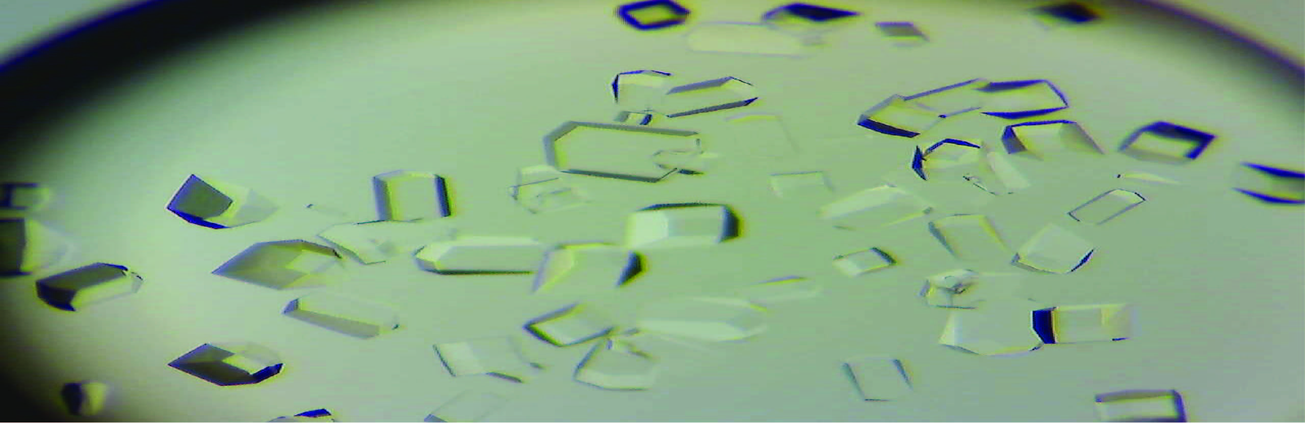 image of crystals under microscope