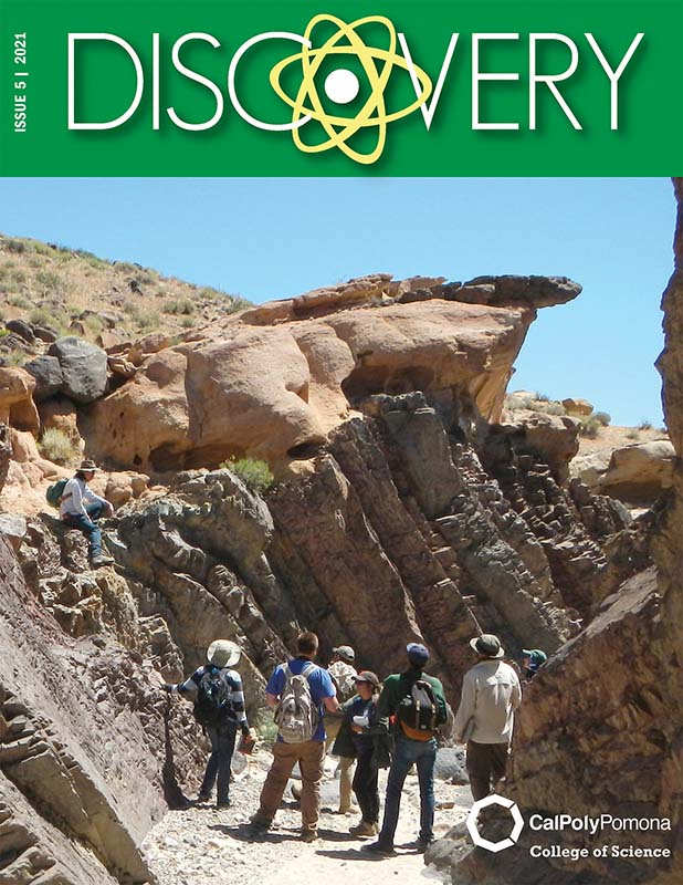 discovery magazine 2021 cover