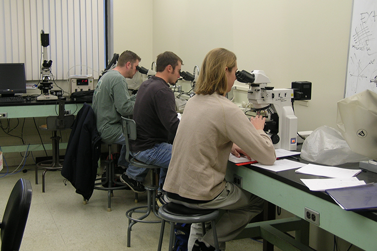 students looking through microscope