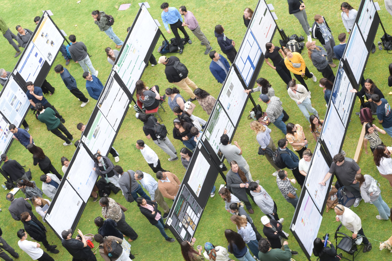 View of people from above the 2025 science research symposium. 