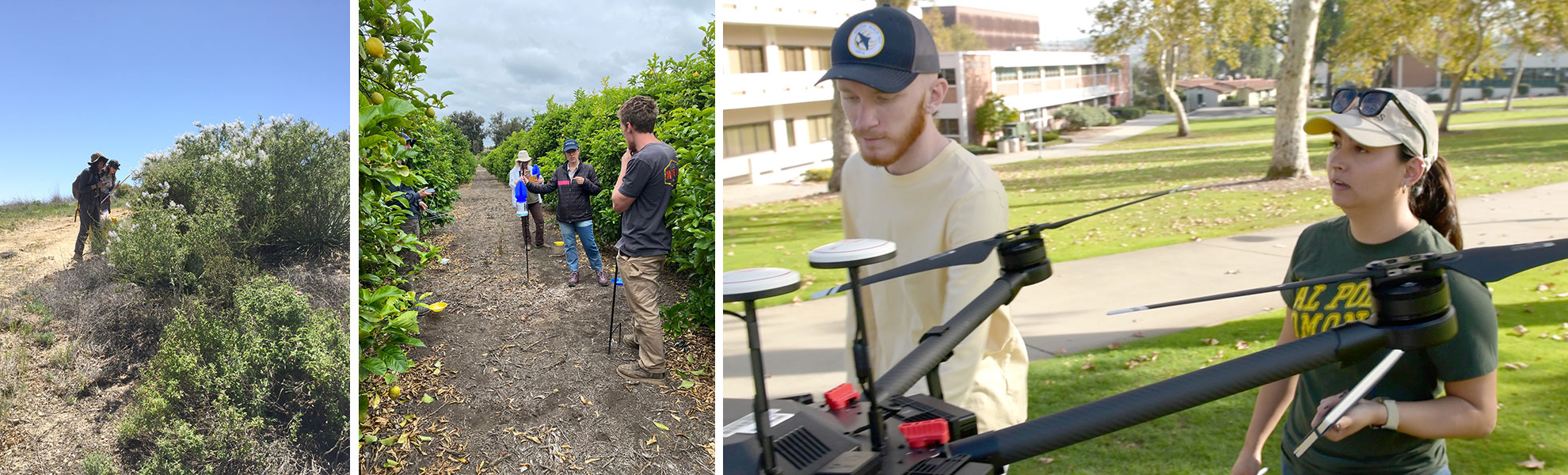 students conduct field surveys and use a drone to gather data.