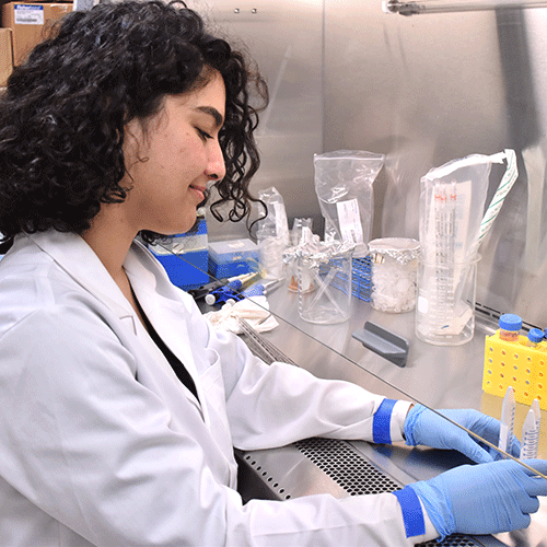 student in biology lab