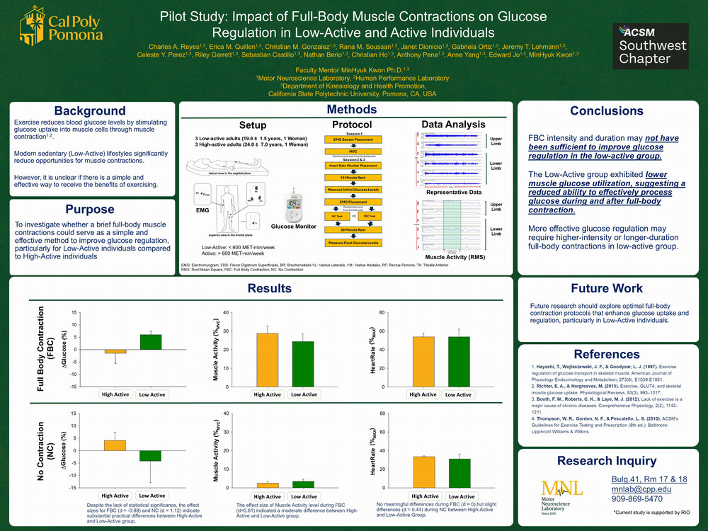 Motor Neuroscience Lab research poster explaining the background, methods, and conclusions of the research project "The imapct of full-body contractions on glucose regulation in low-active and active individuals."