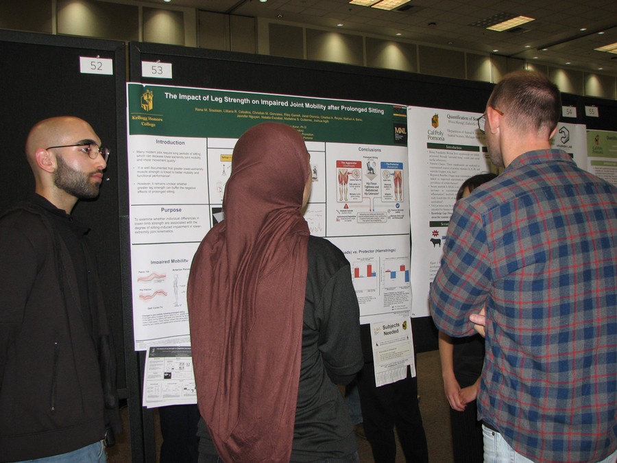 Two students presenting poster to student