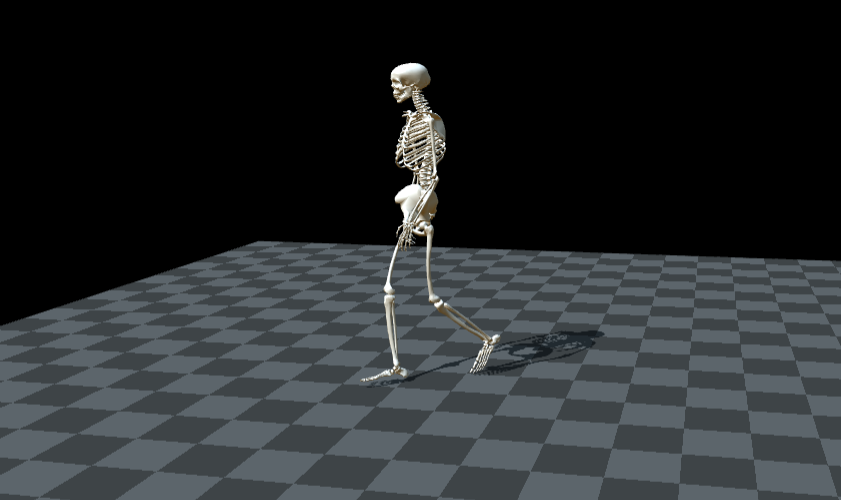 Picture of skeletal representation of a person walking one the software OpenCap