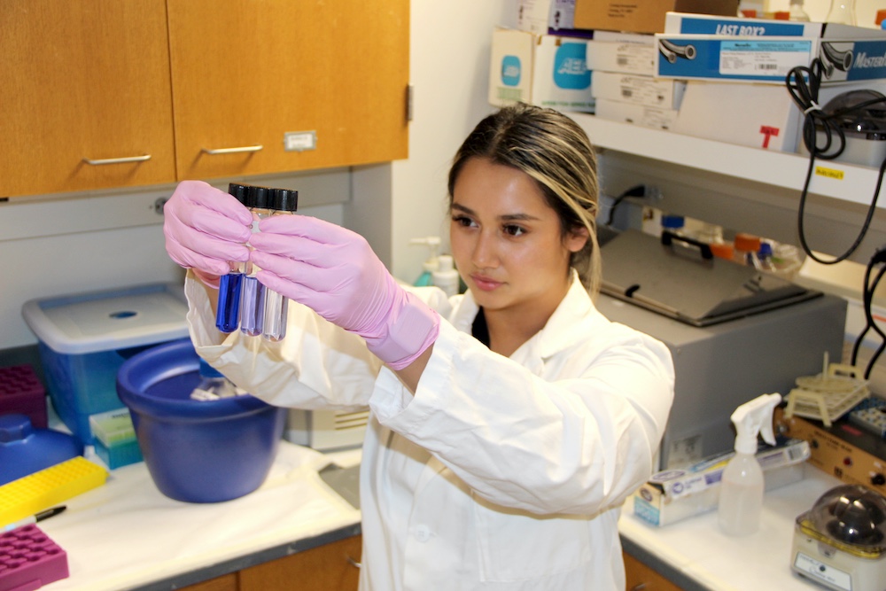 Camille Abeyta, LSAMP-funded research scholar
