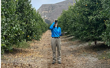 Emma Miller surveys trees for wildlife
