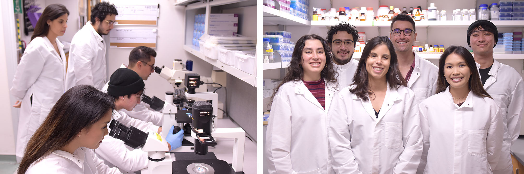 Tatiane Lima's students in her lab