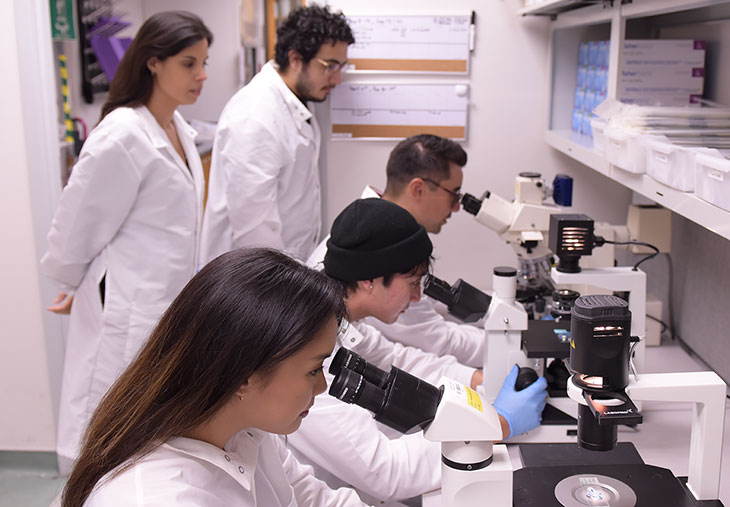 Students working in a lab