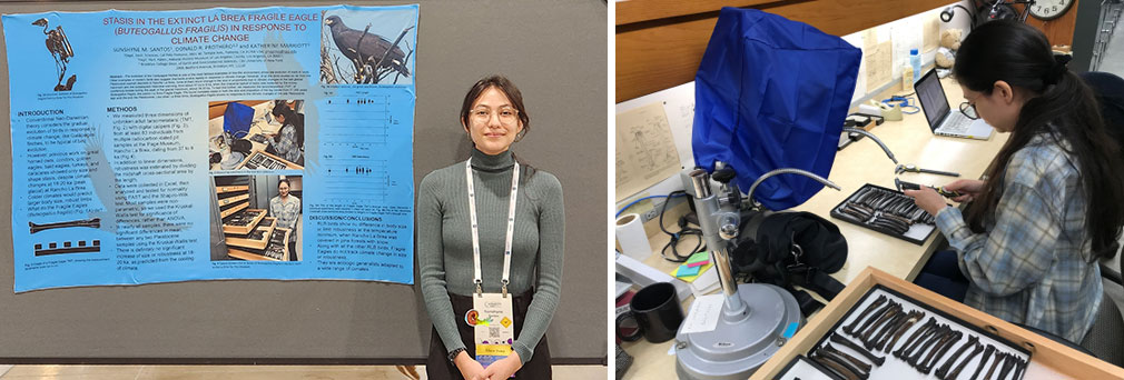 Sunshyne Santos presents at the GSA Conference, and measures bones for research.