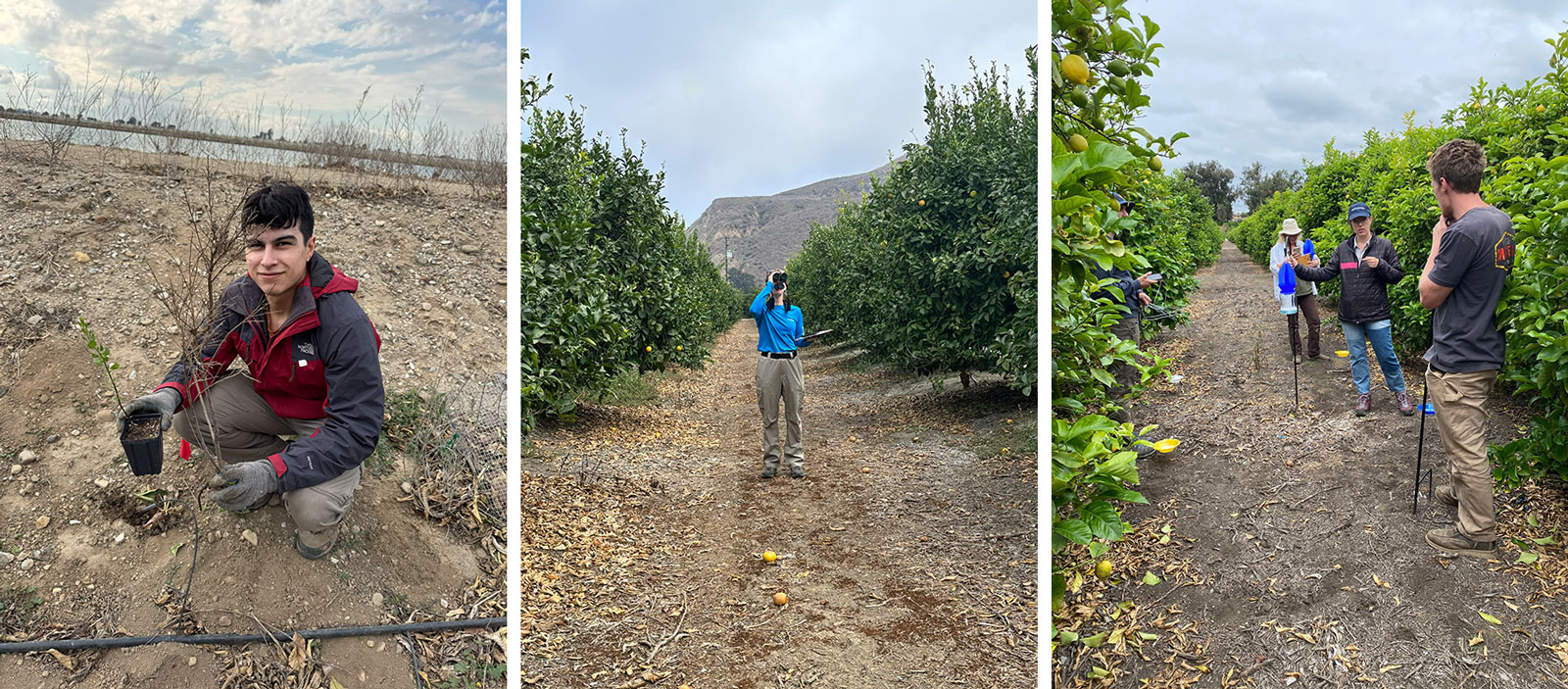 Students working on Santa Clara River Conservation.