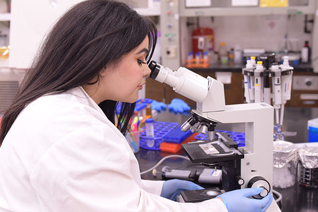 Students working in a lab