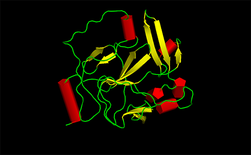 protein folding