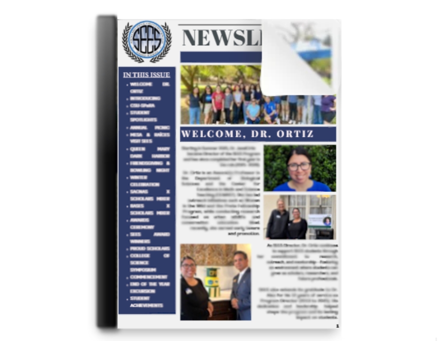 newsletter cover image icon 
