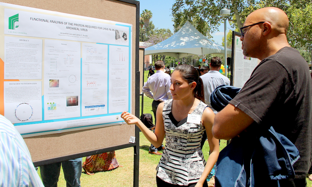 Outdoor event with attendant demonstrating poster to attendee