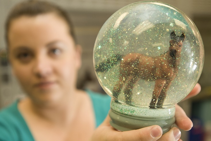 a girl holding up a snow globe with a bronco figurine inside