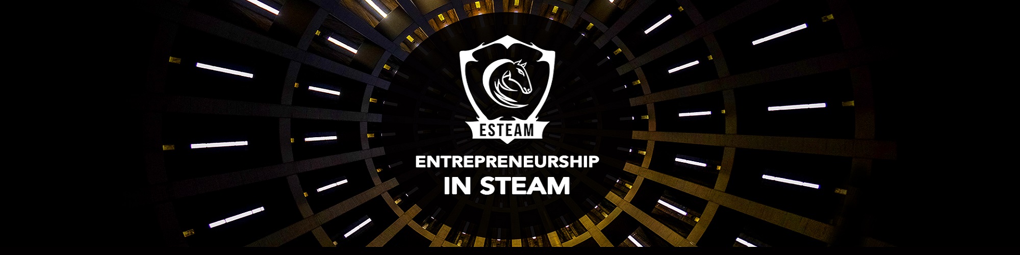 banner with esteam logo over minimalistic background
