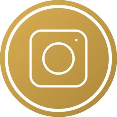 This image displays the logo of Instagram