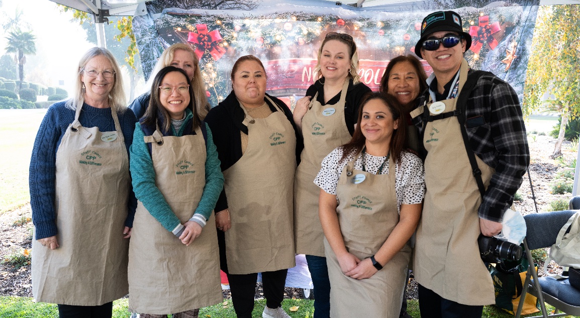 horses grazing in a field