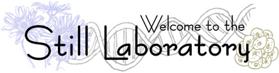 Still Lab logo