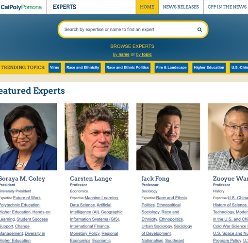 CPP Experts website