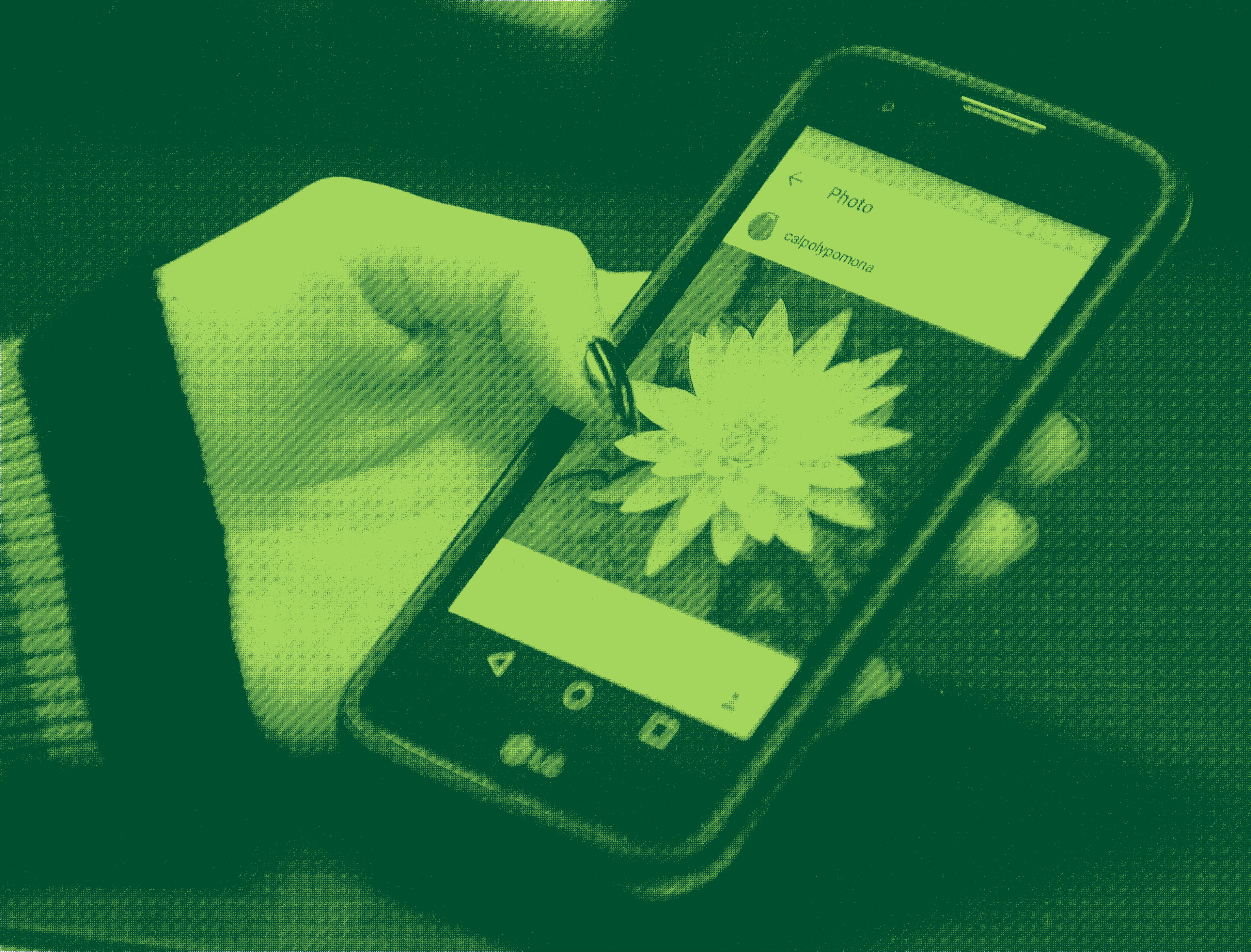 Phone and computer illustration