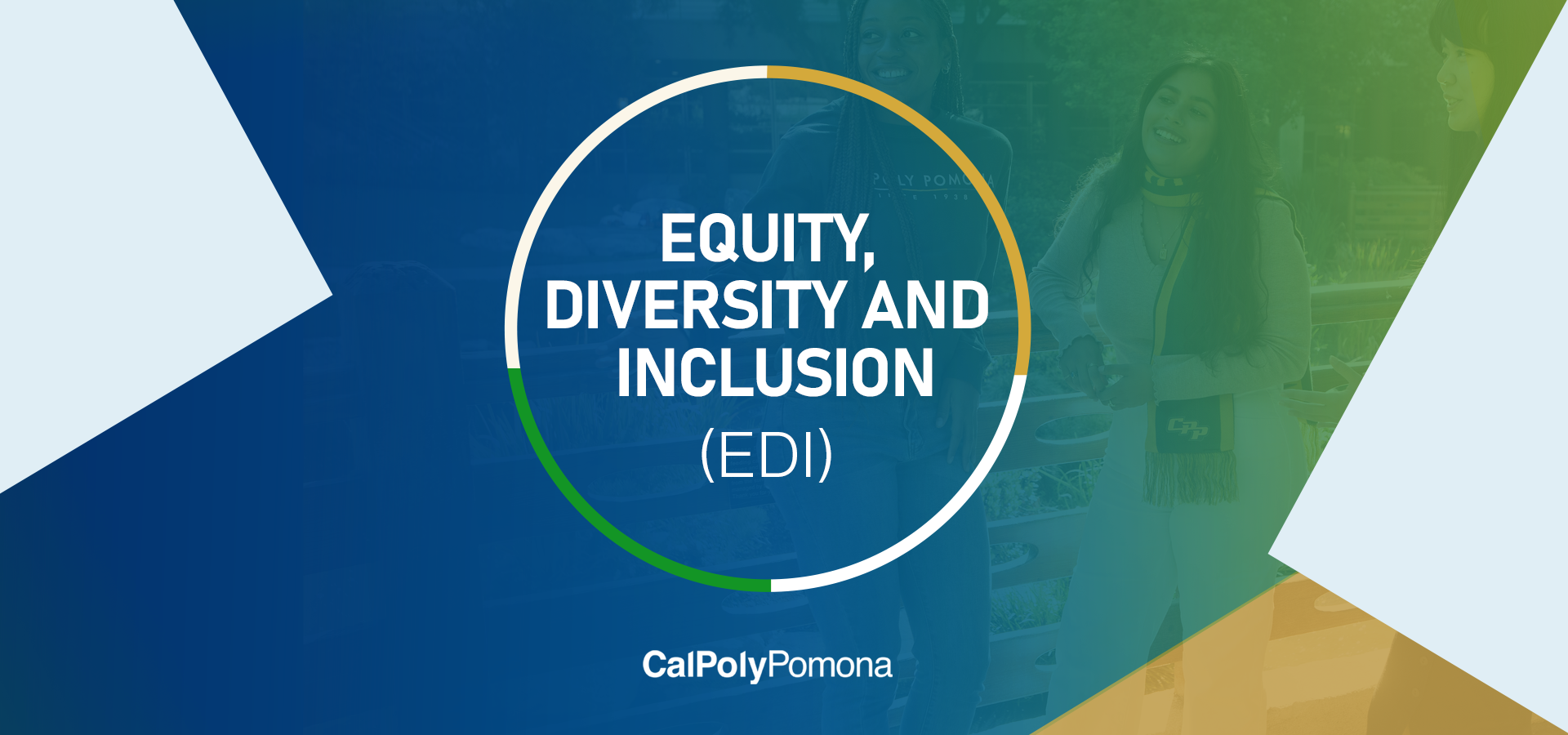 Equity Diversity and Inclusion