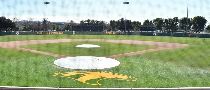Scolinos Field