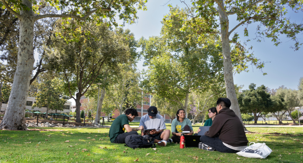 Students sit and talk in the Quad