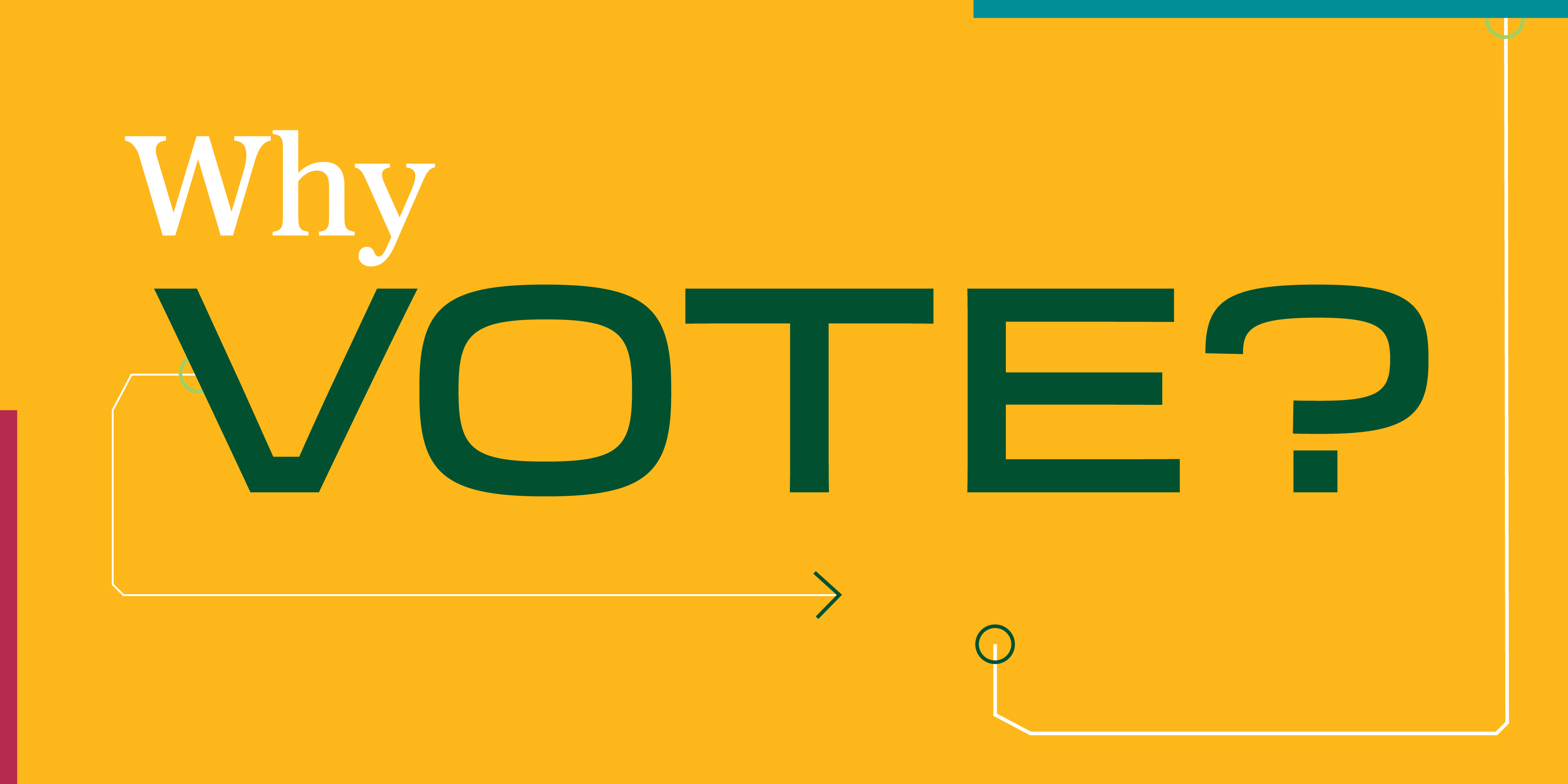 Why Vote