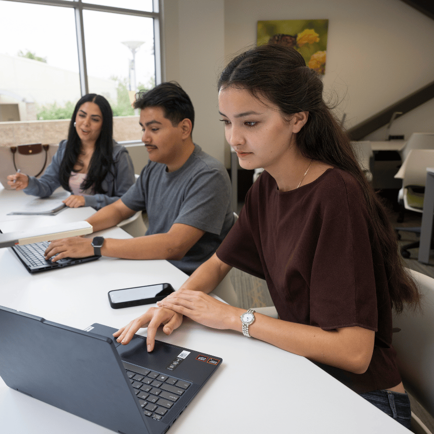 Students work on their laptops