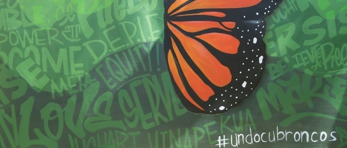 Dreamers butterfly mural on campus