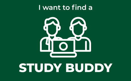 I want to find a study buddy