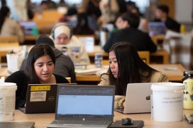 Two students look at laptops in the library