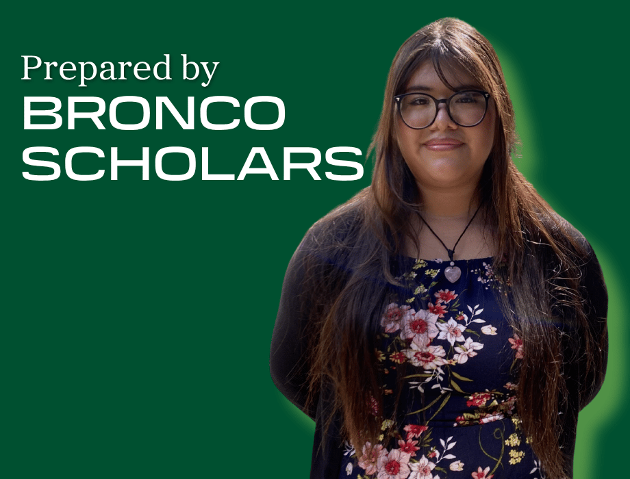 Ashley, Chemical Engineering Student 