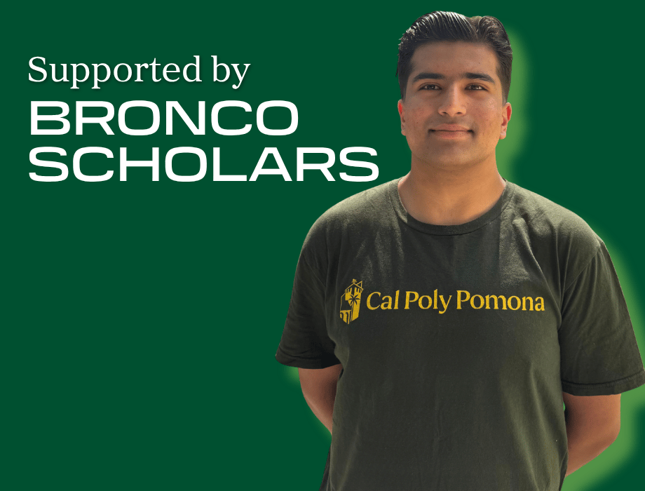 Humza Islam Technology and Operations Management Student