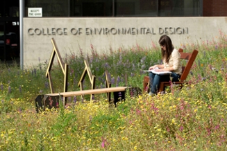 A female student sitting in front of the ENV building by a wooden sculpture