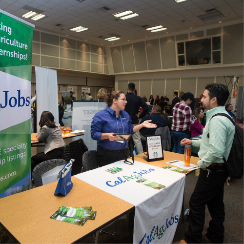 A student talks to a prospective employer at a job fair