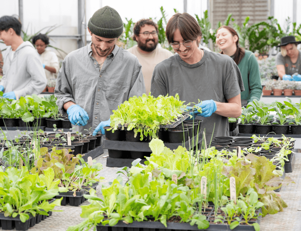 Students in PolyX Course taking care of plants
