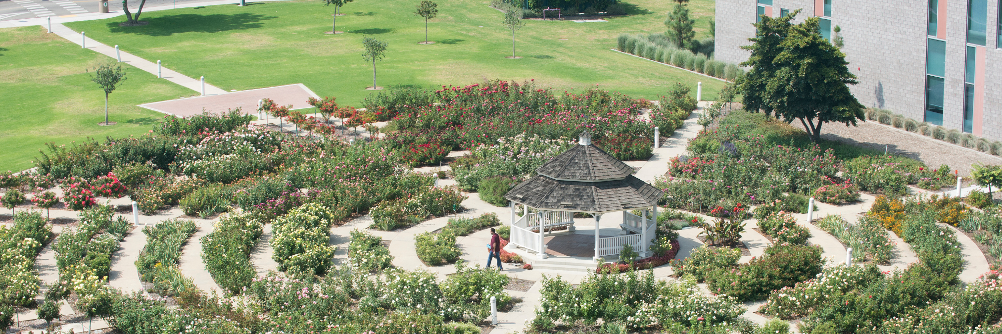Rose Garden