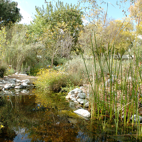 Bio Trek Pond