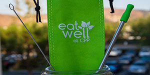Reusable straws in a green Eat Well bag