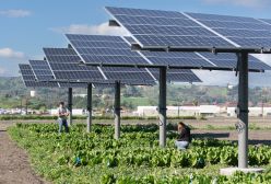 Solar panels in agricultural field. 