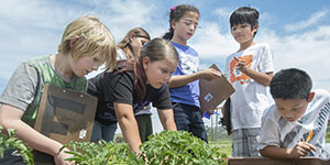 Prete Fellows students-Students at Armstrong Elementary School in Diamond Bar look over plants at the school garden 