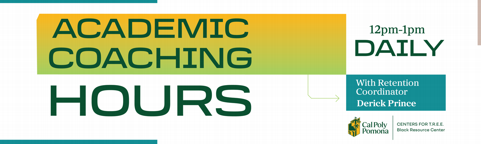 Academic Coaching Hours